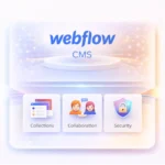 Webflow 1y